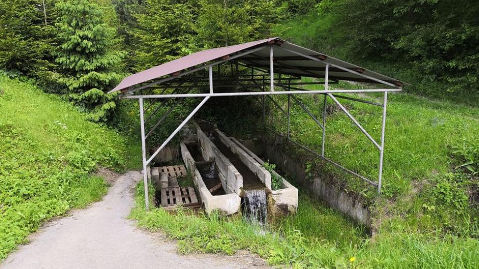Močilo
